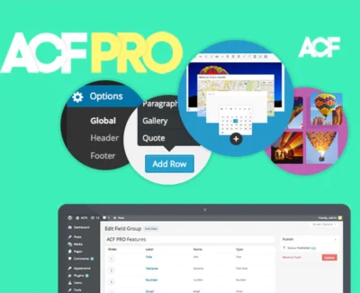 Advanced Custom Fields (ACF) Pro [Bản Null]