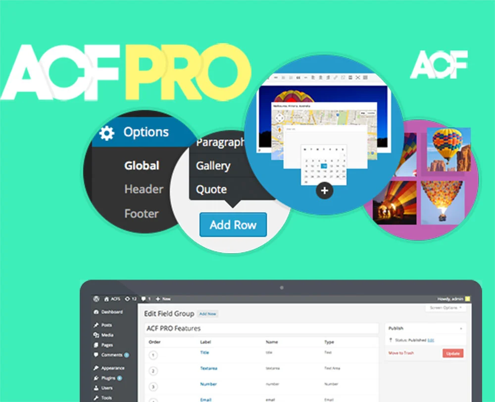 Advanced Custom Fields (ACF) Pro [Bản Null]